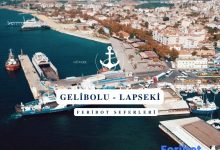 tavus kuşu cennetten kovuldu - Bu 25 Sinyale Dikkat Edin