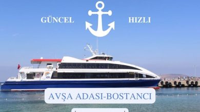 avsa-adasi-bostanci-ido